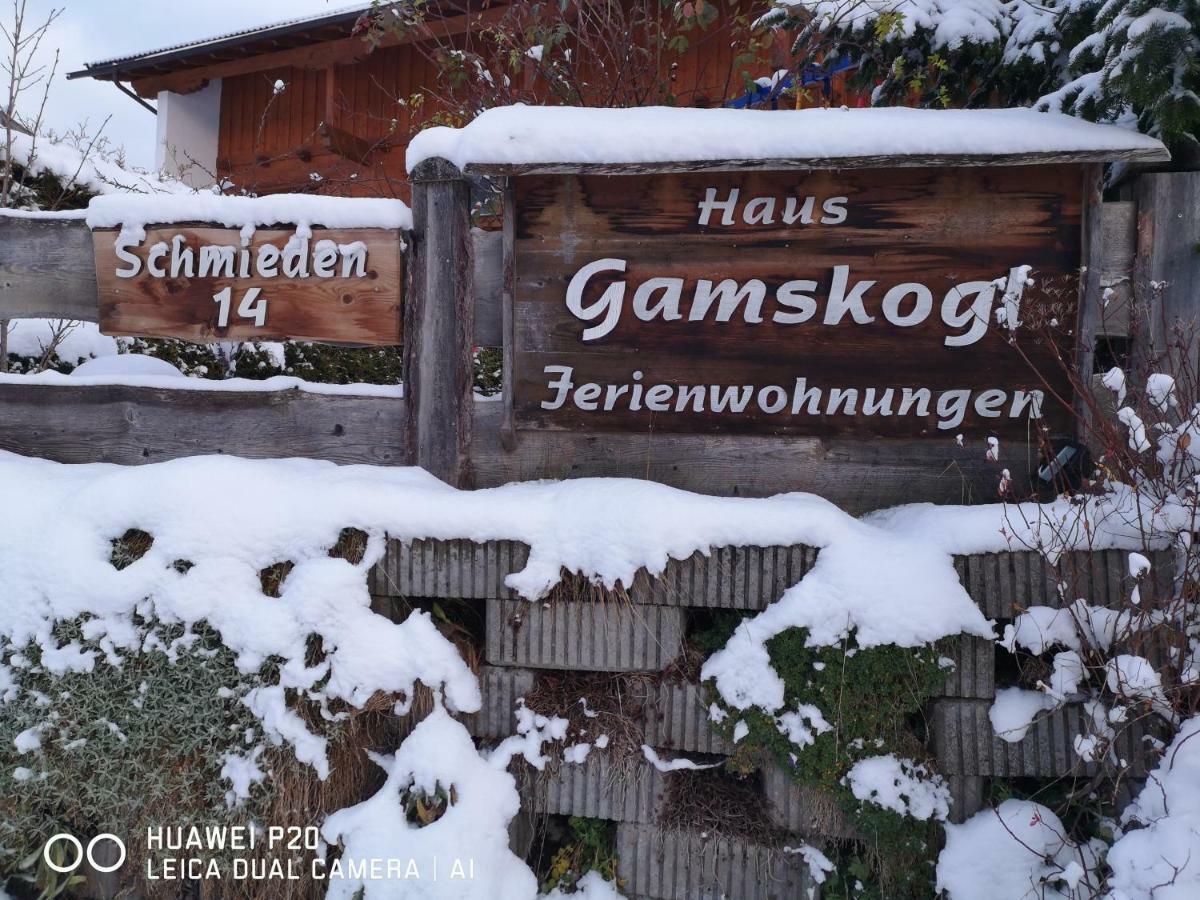 Apartmán Haus Gamskogl Neustift im Stubaital Exteriér fotografie