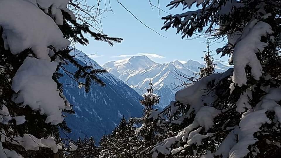 Apartmán Haus Gamskogl Neustift im Stubaital Exteriér fotografie