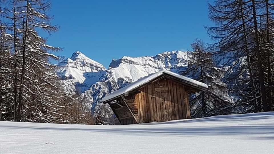 Apartmán Haus Gamskogl Neustift im Stubaital Exteriér fotografie