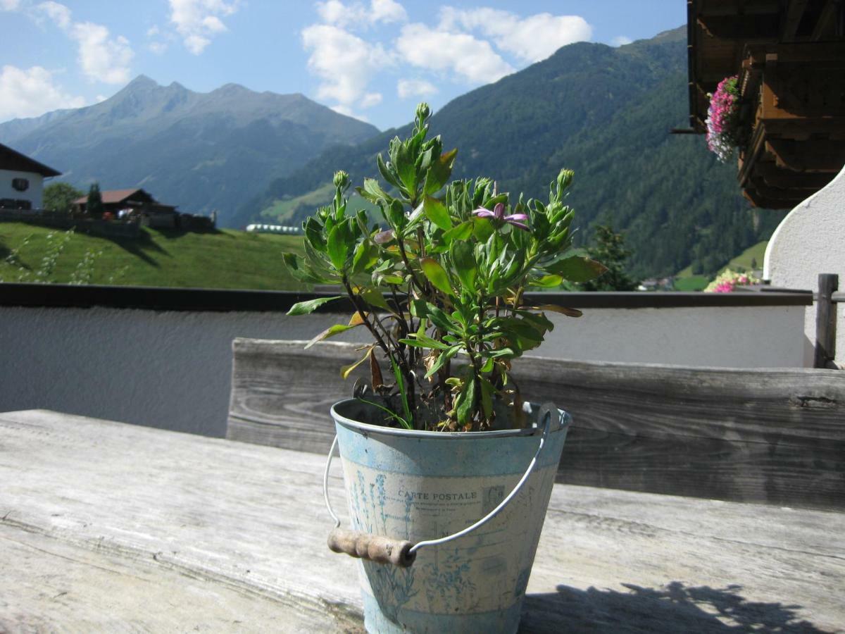 Apartmán Haus Gamskogl Neustift im Stubaital Exteriér fotografie